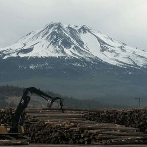 Meet your Posher, Tom